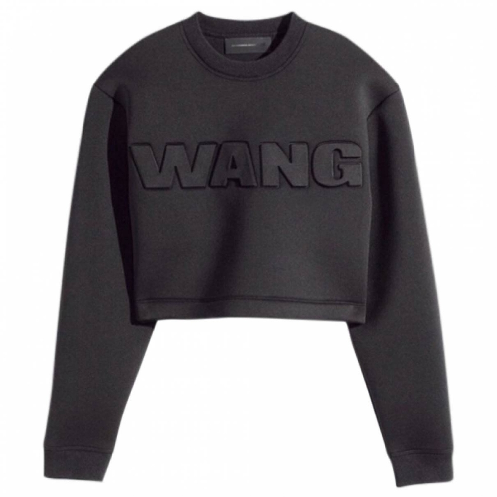 Alexander wang x h&m scuba crop sweater